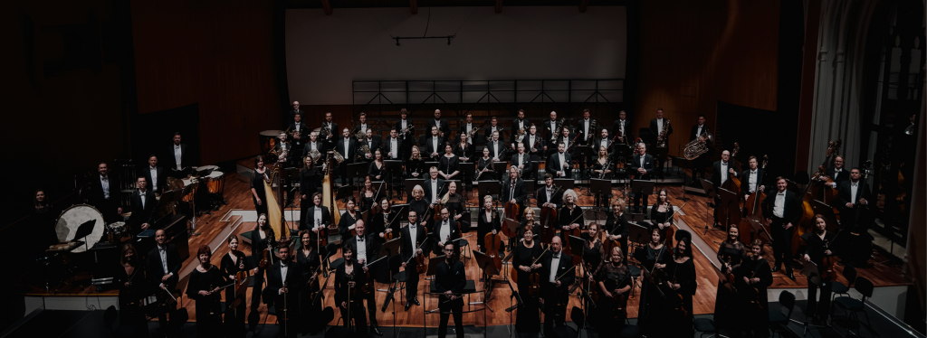 SYMPHONIC HIT WITH GORAN GORA. VIVALDI'S SEASONS AND ELECTRIC CELLO ...