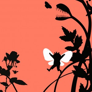 LENESONS’S FLOWERS AND INSECTS