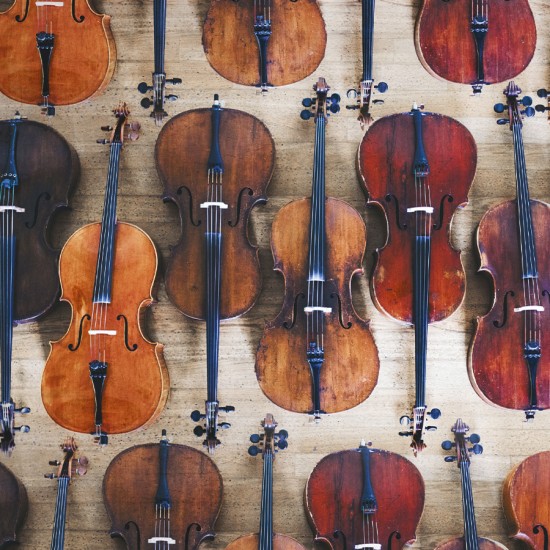 THE CELLO DREAM TEAM SUMMA LNSO CHAMBER MUSIC